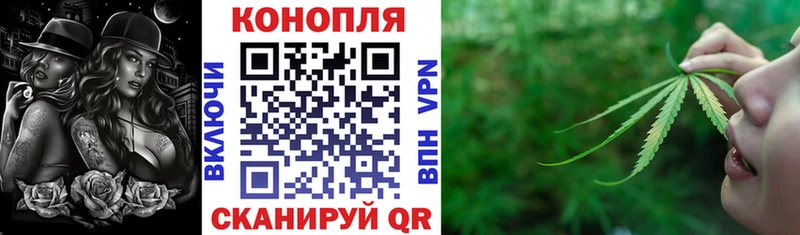Где купить наркотики Шадринск ГАШИШ  COCAIN  Меф мяу мяу  Каннабис 
