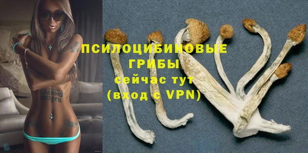 скорость Белокуриха