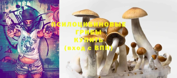 скорость Белокуриха