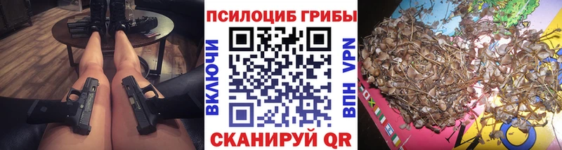 Галлюциногенные грибы Psilocybine cubensis  купить  сайты  Шадринск 